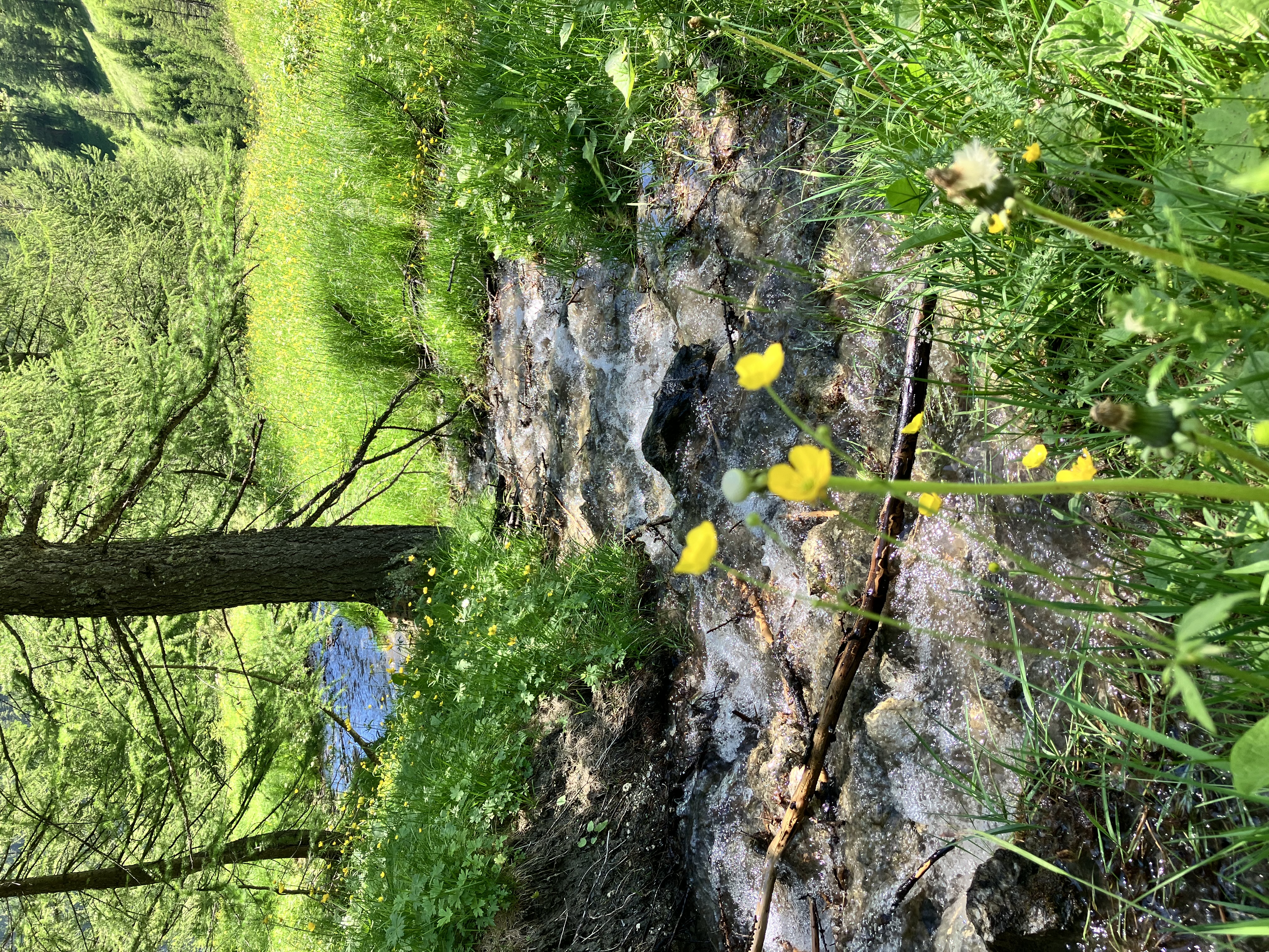 Abriès en Queyras - Juillet 2024